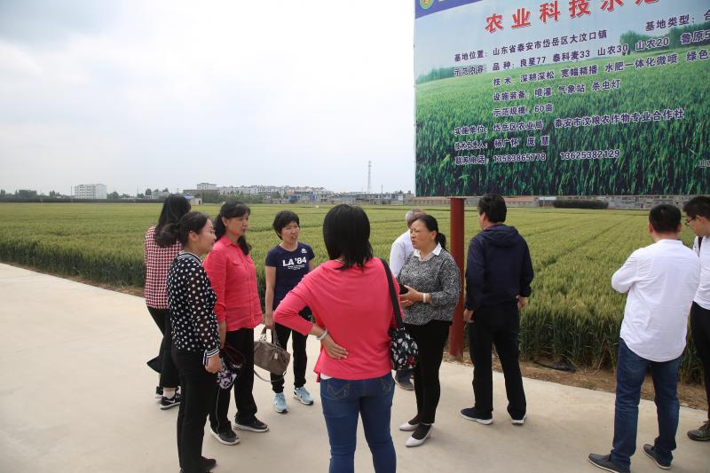 ����ɽ�|ʡί�C(j��)�P(gu��n)֧���_(k��i)չ�R���l(xi��ng)���{(di��o)�л��(d��ng)